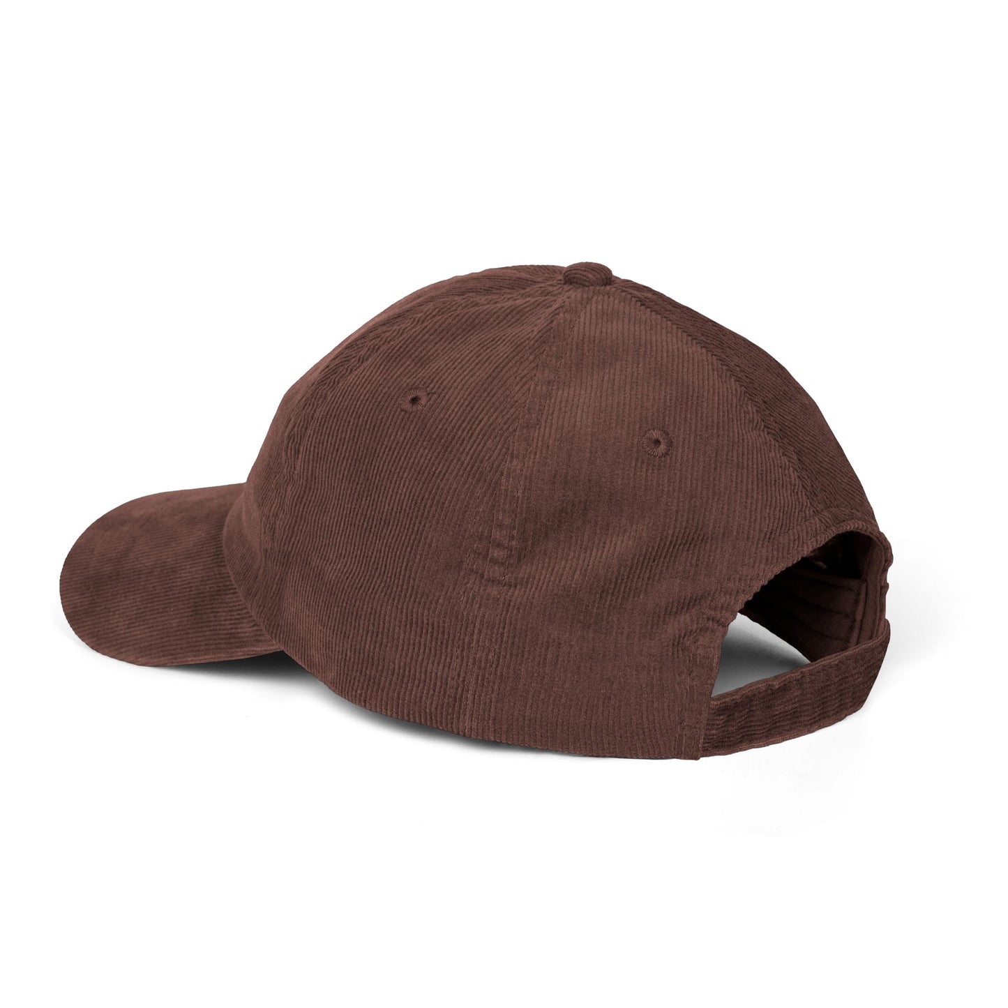 ENLIES signature hat